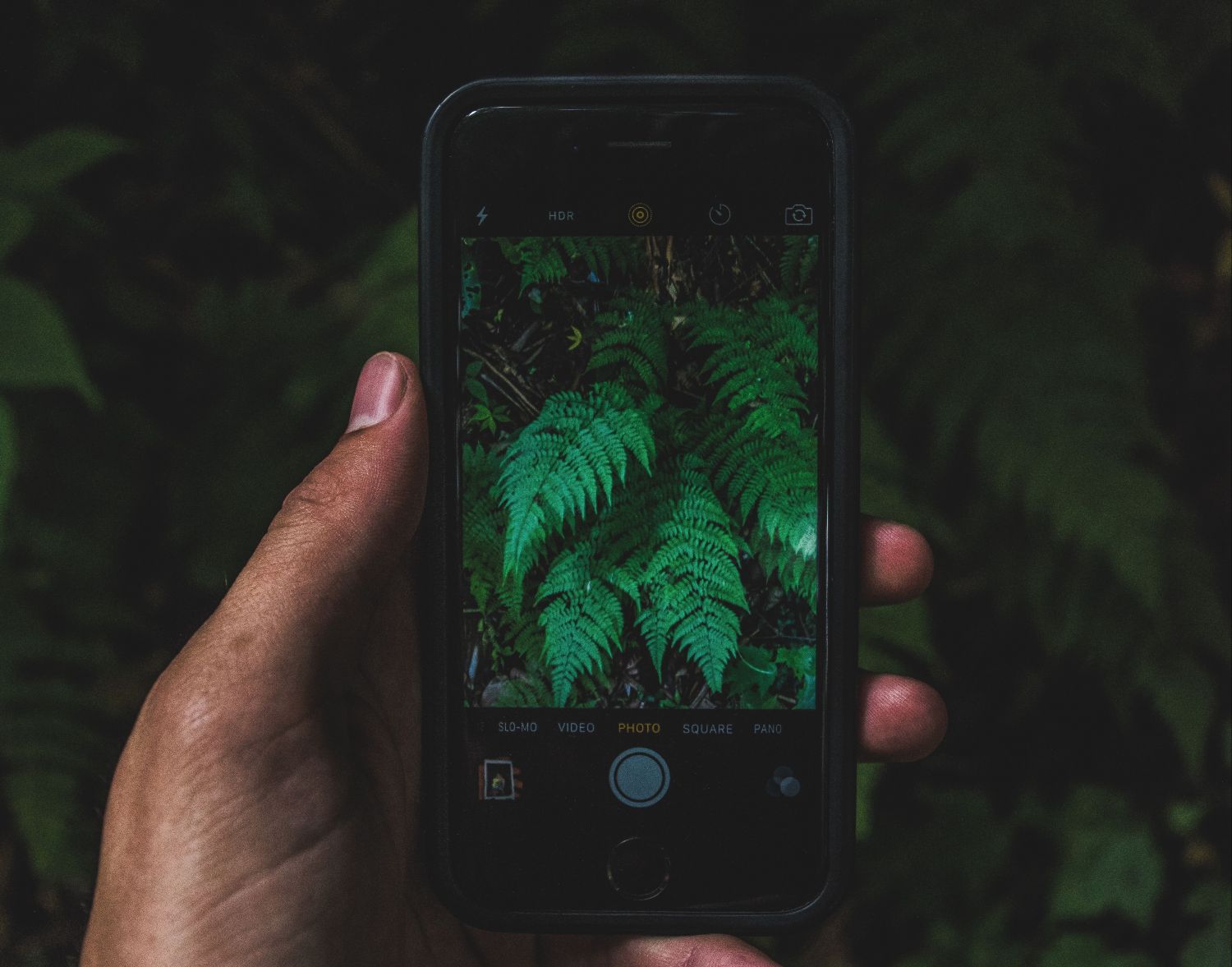  Smartphone mit Dschungel-Hintergrundbild